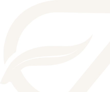 about us background image